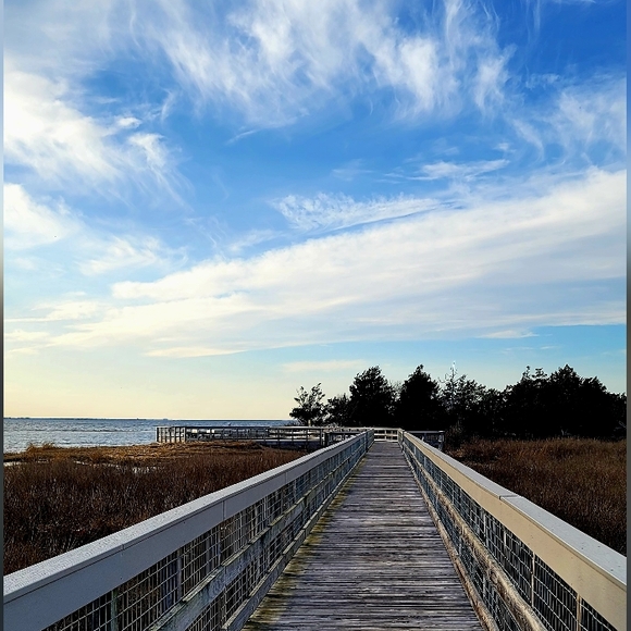 A Welcome to All New Buyers and Grateful Friends - Picture 13 of 17